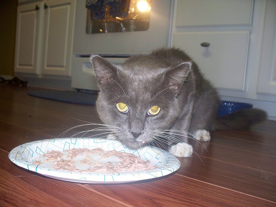 Cat Treats, Salmon 6 oz