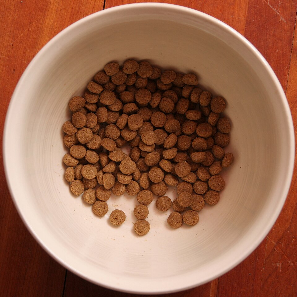 Dry Dog Food, 7 lb
